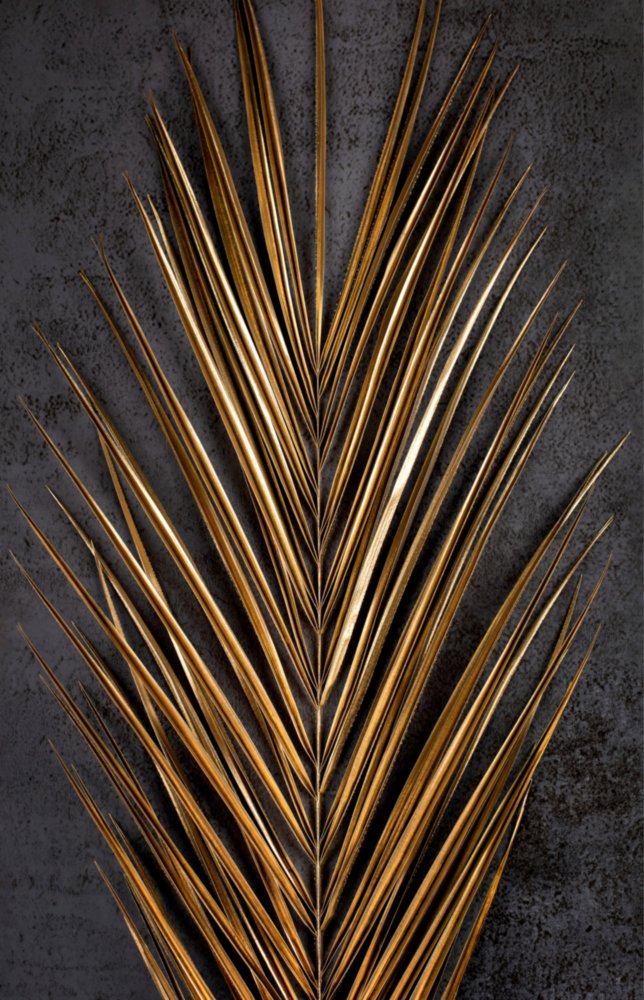 Areca Bunch Glass Wall Art