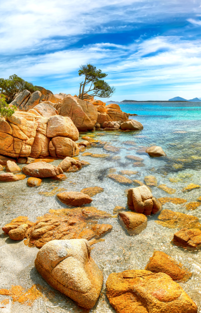 Beach View Glass Wall Art