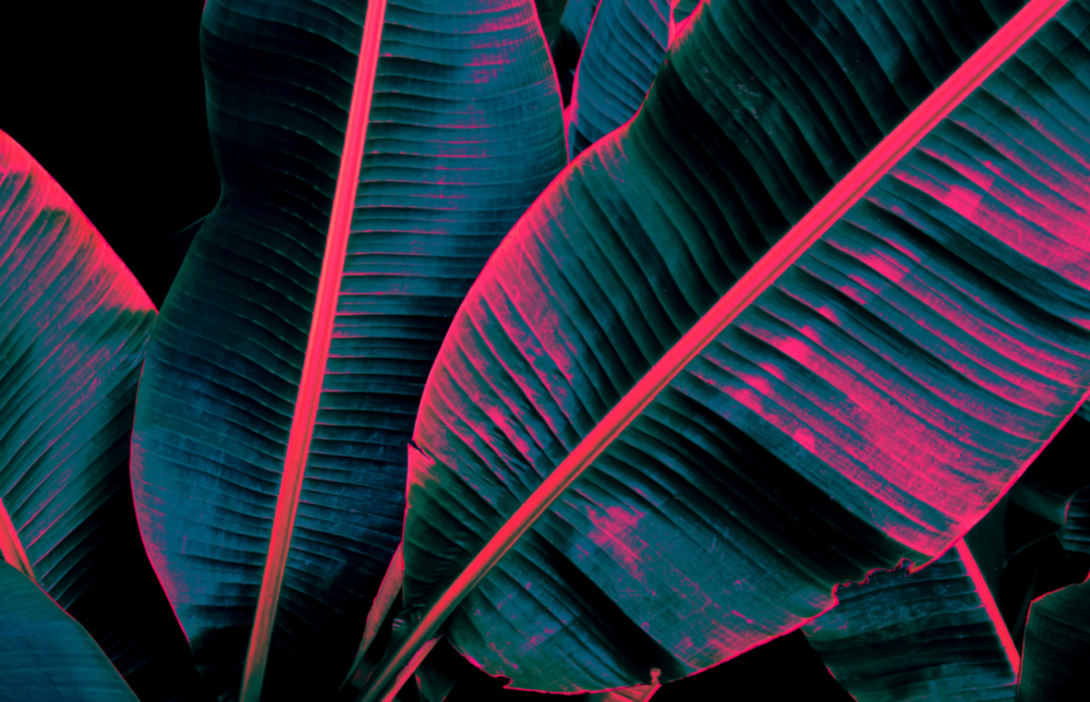 Abstract Art Glass Wall Art