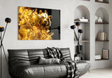 Golden Bear Bitcoin Glass Wall Art