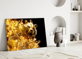 Golden Bear Bitcoin Glass Wall Art
