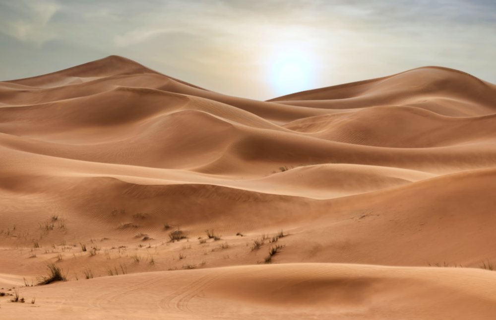 Desert View Glass Wall Art