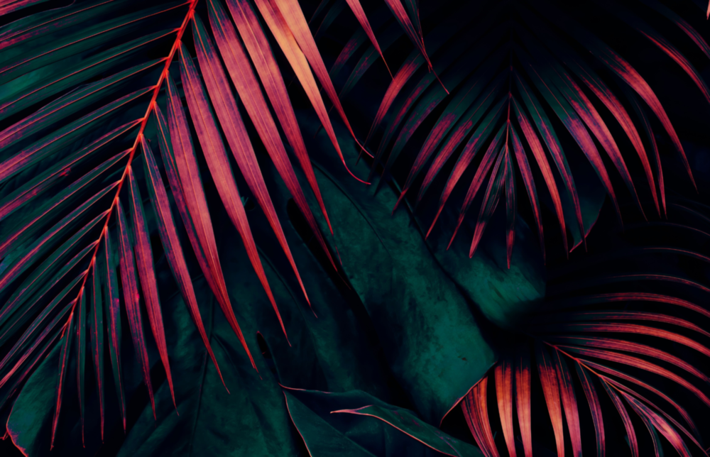 Botanical Glass Wall Art