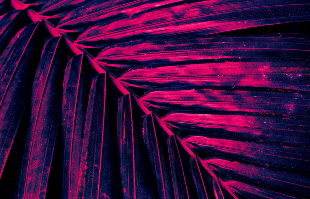 Botanical Glass Wall Art