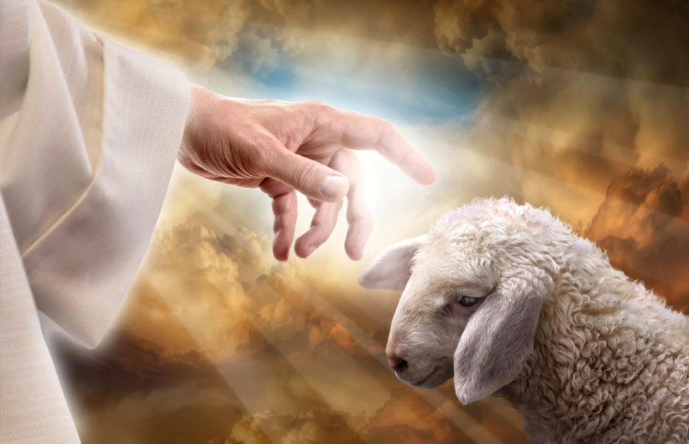 God'S Hand And The Sheep Glass Wall Art