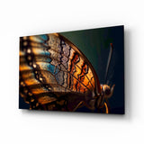 Butterfly Wing in Fire Glass Wall Art - 72x46 cm