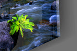 Autumn Waterfall Serenity Glass Wall Art