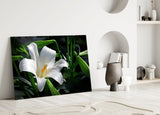 Elegant White Lily Glass Wall Art