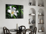 Elegant White Lily Glass Wall Art