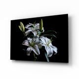 Elegant Lily Bloom Glass Wall Art