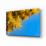 Golden Blossoms Against Blue Sky Glass Wall Art