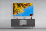 Golden Blossoms Against Blue Sky Glass Wall Art