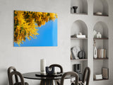 Golden Blossoms Against Blue Sky Glass Wall Art