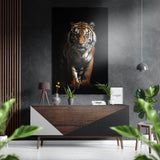 Tigre rôdant sur fond noir tableau mural en aluminium brossé Dibond - 60x39 cm