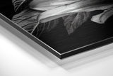 Brushed Aluminium Dibond Wall Art