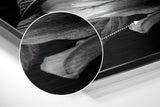 Brushed Aluminium Dibond Wall Art