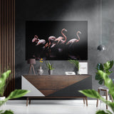 Flamingo Flock On Black Brushed Aluminium Dibond Wall Art - 60x39 cm
