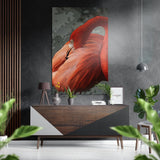 Flamant lissant ses plumes en gros plan sur vert tableau mural en aluminium brossé Dibond - 60x39 cm
