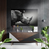 Rinoceronte – Cuadro mural en aluminio cepillado Dibond - 60x39 cm