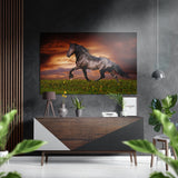 Horse Brushed Aluminium Dibond Wall Art