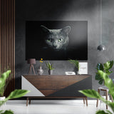 Cat in the Dark Brushed Aluminium Dibond Wall Art