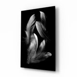 Silver Feather Cluster Black Glass Wall Art - 72x46 cm
