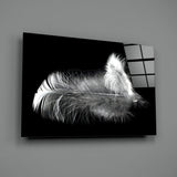 Feather Glass Wall Art.
