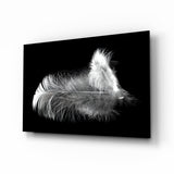 Feather Glass Wall Art.