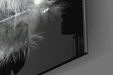 Feather Glass Wall Art.
