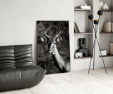 Deer Glass Wall Art.