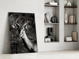 Deer Glass Wall Art.