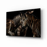 Nuzzling Zebra Pair Glass Wall Art - 72x46 cm
