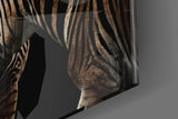 Zebra Glass Wall Art.