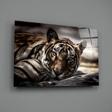 Tiger Glass Wall Art.