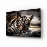 Tiger Glass Wall Art.
