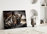 Tiger Glass Wall Art.