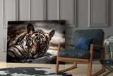 Tiger Glass Wall Art.