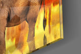 Elephant Glass Wall Art.