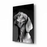 Tableau en verre Chien Innocent - 72x46cm