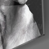 Innocent Dog Glass Wall Art.