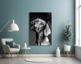 Innocent Dog Glass Wall Art.