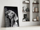 Innocent Dog Glass Wall Art.