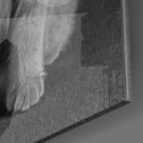 Cat Glass Wall Art