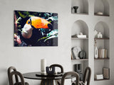 Toco Toucan Glass Wall Art.