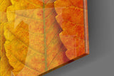 Autumn Leaves Glass Wall Art.