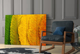 Autumn Leaves Glass Wall Art.