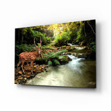 Gefleckter Hirsch Waldbach Glasbild - 72x46 cm
