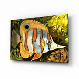 Orange Fish Glass Wall Art - 72x46 cm