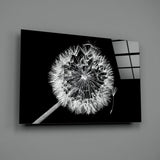Dandelion Glass Wall Art.