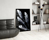 Feather Glass Wall Art.